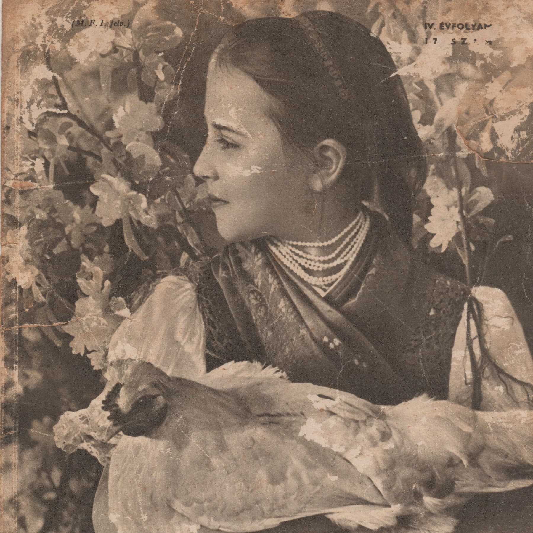 An artisan working with cloth